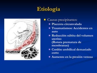 Etiología Causas precipitantes: Placenta circunvalada Traumatismos: Accidentes en auto Reducción súbita del volumen uterino  (Rotura prematura de membranas) Cordón umbilical demasiado corto Aumento en la presión venosa 