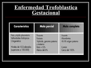 Enfermedad Trofoblastica Gestacional 