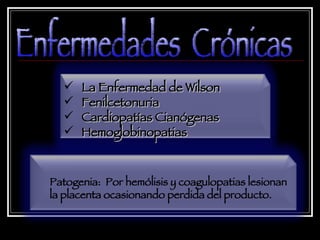 Enfermedades  Crónicas Patogenia:  Por hemólisis y coagulopatias lesionan la placenta ocasionando perdida del producto. La Enfermedad de Wilson Fenilcetonuria Cardiopatías Cianógenas Hemoglobinopatias 