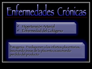 Enfermedades  Crónicas Patogenia:  Predisponen a los infartos placentarios, lesionando áreas de la placenta ocasionando perdida del producto Hipertensión Arterial Enfermedad del Colágeno 
