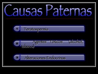 Causas Paternas 1 Teratospermia 2 Agentes Tóxicos  (alcohol, tabaco) 3 Alteraciones Endocrinas  