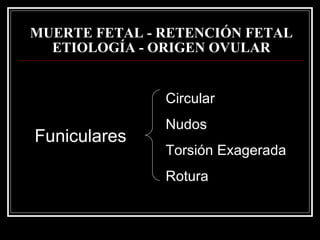 MUERTE FETAL - RETENCIÓN FETAL   ETIOLOGÍA - ORIGEN OVULAR Funiculares Circular Nudos Torsión Exagerada Rotura 