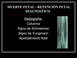 MUERTE FETAL - RETENCIÓN FETAL DIAGNOSTICO   Radiografía: Columna Signo de Schmieman Signo de Yungmann Apelotamiento fetal 