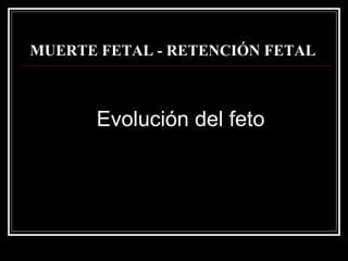 MUERTE FETAL - RETENCIÓN FETAL   Evolución del feto  