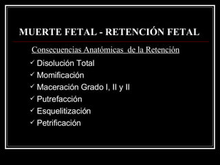 MUERTE FETAL - RETENCIÓN FETAL   Disolución Total Momificación Maceración Grado I, II y II Putrefacción Esquelitización Petrificación  Consecuencias Anatómicas  de la Retención 
