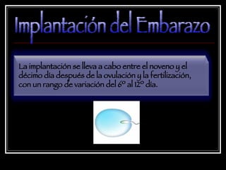 Implantación del Embarazo La implantación se lleva a cabo entre el noveno y el décimo día después de la ovulación y la fertilización, con un rango de variación del 6º al 12º día.  