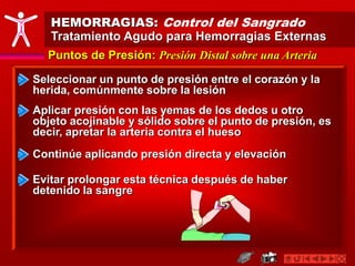 HEMORRAGIAS: Control del Sangrado
Tratamiento Agudo para Hemorragias Externas
Puntos de Presión: Presión Distal sobre una Arteria
Seleccionar un punto de presión entre el corazón y la
herida, comúnmente sobre la lesión
Aplicar presión con las yemas de los dedos u otro
objeto acojinable y sólido sobre el punto de presión, es
decir, apretar la arteria contra el hueso
Continúe aplicando presión directa y elevación
Evitar prolongar esta técnica después de haber
detenido la sangre
 