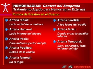 HEMORRAGIAS: Control del Sangrado
Tratamiento Agudo para Hemorragias Externas
Puntos de Presión en el Cuerpo
Arteria radial:
Lado radial de la muñeca
Arteria Humeral:
Lado interno del bíceps
Arteria Pedia:
Cara anterosuperior del pie
Arteria Poplítea:
Detrás de la rodilla
Arteria femoral:
En la ingle
Arteria carótida:
A los lados del cuello
Arteria facial:
Donde cruza la maxilar
inferior
Arteria Temporal:
Sien, por arriba, lado
externo del ojo
 
