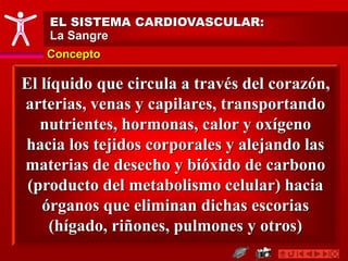 Concepto
EL SISTEMA CARDIOVASCULAR:
La Sangre
El líquido que circula a través del corazón,
arterias, venas y capilares, transportando
nutrientes, hormonas, calor y oxígeno
hacia los tejidos corporales y alejando las
materias de desecho y bióxido de carbono
(producto del metabolismo celular) hacia
órganos que eliminan dichas escorias
(hígado, riñones, pulmones y otros)
 
