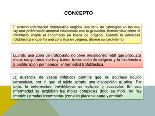 CONCEPTO

El término enfermedad trofoblástica engloba una serie de patologías en las que
hay una proliferación anormal relacionada con la gestación. Hemos visto cómo el
trofoblasto invade el endometrio en busca de oxígeno. Cuando la vellosidad
trofoblástica encuentra una zona rica en oxígeno, detiene su crecimiento.



Cuando una zona de trofoblasto no tiene mesodermo fetal que produzca
vasos sanguíneos, no hay buena transmisión de oxígeno y la tendencia a
la proliferación permanece: enfermedad trofoblástica.


La ausencia de vasos linfáticos permite que se acumule líquido
extracelular, por lo que el tejido adopta una disposición quística. Por
tanto, la enfermedad trofoblástica es quística y avascular. En esta
enfermedad se engloban las molas completas (todo es mola, no hay
embrión) y molas incompletas (zona de placenta sana y embrión).
 