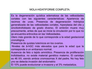 MOLA HIDATIFORME COMPLETA:

Es la degeneración quística edematosa de las vellosidades
coriales con las siguientes características: Apariencia de
racimos de uvas. Presencia de degeneración hidrópica
generalizada de las vellosidades coriales, hiperplasia del cito y
sincitiotrofoblasto de grado diverso. El embrión muere muy
precozmente, antes de que se inicie la circulación por lo que no
se encuentra eritrocitos en las Vellosidades.
Útero más grande de lo que corresponde a la edad gestacional
cronológica.
Presencia de quistes luteínicos en los ovarios.
 Niveles de â-hGC más elevados que para la edad que le
corresponde a un embarazo normal.
Ausencia de feto o tejido amniótico. Presencia de proliferación
trofoblastica. no existe material genético materno. El cariotipo
es 46 XX, siendo ambos cromosomas X del padre. No hay feto
yno se detecta invasión del endometrio
El 10% puede evolucionar a invasora y el 3% metastatiza.
 