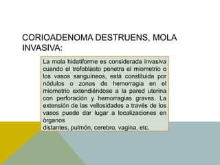 CORIOADENOMA DESTRUENS, MOLA
INVASIVA:
   La mola hidatiforme es considerada invasiva
   cuando el trofoblasto penetra el miometrio o
   los vasos sanguíneos, está constituida por
   nódulos o zonas de hemorragia en el
   miometrio extendiéndose a la pared uterina
   con perforación y hemorragias graves. La
   extensión de las vellosidades a través de los
   vasos puede dar lugar a localizaciones en
   órganos
   distantes, pulmón, cerebro, vagina, etc.
 