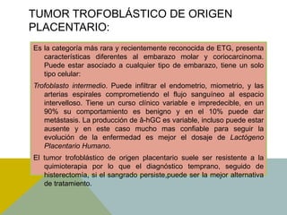TUMOR TROFOBLÁSTICO DE ORIGEN
PLACENTARIO:
Es la categoría más rara y recientemente reconocida de ETG, presenta
   características diferentes al embarazo molar y coriocarcinoma.
   Puede estar asociado a cualquier tipo de embarazo, tiene un solo
   tipo celular:
Trofoblasto intermedio. Puede infiltrar el endometrio, miometrio, y las
   arterias espirales comprometiendo el flujo sanguíneo al espacio
   intervelloso. Tiene un curso clínico variable e impredecible, en un
   90% su comportamiento es benigno y en el 10% puede dar
   metástasis. La producción de â-hGC es variable, incluso puede estar
   ausente y en este caso mucho mas confiable para seguir la
   evolución de la enfermedad es mejor el dosaje de Lactógeno
   Placentario Humano.
El tumor trofoblástico de origen placentario suele ser resistente a la
   quimioterapia por lo que el diagnóstico temprano, seguido de
   histerectomía, si el sangrado persiste,puede ser la mejor alternativa
   de tratamiento.
 