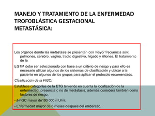 MANEJO Y TRATAMIENTO DE LA ENFERMEDAD
TROFOBLÁSTICA GESTACIONAL
METASTÁSICA:


Los órganos donde las metástasis se presentan con mayor frecuencia son:
   pulmones, cerebro, vagina, tracto digestivo, hígado y riñones. El tratamiento
   de la
EGTM debe ser seleccionado con base a un criterio de riesgo y para ello es
  necesario utilizar algunos de los sistemas de clasificación y ubicar a la
  paciente en algunos de los grupos para aplicar el protocolo recomendado.
Clasificación de la FIGO:
Establece categorías de la ETG teniendo en cuenta la localización de la
   enfermedad, presencia o no de metástasis, además considera también como
   factores de riesgo:
- â-hGC mayor de100 000 mU/ml.
- Enfermedad mayor de 6 meses después del embarazo.
 