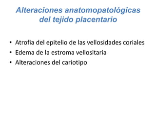 Alteraciones anatomopatológicas
del tejido placentario
• Atrofia del epitelio de las vellosidades coriales
• Edema de la e...