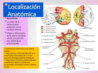* Aneurismas
* La unión de la
   comunicante
   posterior con la
   carótida interna
* Origen y bifurcación
   de la arteria cerebral
   media y la porción
   mas distal de la
   arteria basilar

Aneurismas fusiformes en la arteria
basilar:
Interviene en el drenaje del LCR en 3
ventrículo; Compresión de V VI VIII;
tumores del ángulo pontocerebeloso
Aneurismas micóticos producidos por
embolismos sépticos desde una
endocarditis bacteriana arteria cerebral
media
 