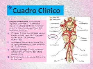 *
*    Síntomas premonitorios o centinela por
     expansión aneurismática son de especial
     importancia ya que preceden a la ruptura del
     aneurisma Son variables dependiendo de la
     localizacion del mismo
1.     Afectación de III par con midriasis arreactiva
       en aneurismas de comunicante posterior,
       cerebral posterior o cerebelosa
       anterosuperior
2.     Oftalmoplejía, afectación de rama oftálmica
       del V par y cefalea retroocular en aneurismas
       del seno cavernoso
3.     Afectación de campo visual en aneurismas
       de la porción supraclinoidea de la arteria
       carótida interna
4.     Cefalea temporal en aneurismas de la arteria
       cerebral media
 