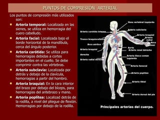 PUNTOS DE COMPRESIÓN  ARTERIAL Los puntos de compresión más utilizados son: Arteria temporal:  Localizada en las sienes, se utiliza en hemorragia del cuero cabelludo. Arteria facial:  Localizada bajo el borde horizontal de la mandíbula, cerca del ángulo posterior. Arteria carótida:  Se utiliza para hemorragias debidas a cortes importantes en el cuello. Se debe comprimir contra las vértebras. Arteria subclavia:  Localizada por detrás y debajo de la clavícula, hemorragias a partir del hombro. Arteria braquial:  En la cara interior del brazo por debajo del bíceps, para hemorragias del antebrazo y mano. Arteria poplítea:  Localizad detrás de la rodilla, a nivel del pliegue de flexión. Hemorragias por debajo de la rodilla. 
