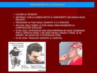 TRATAMIENTO DE LA EPISTASIS CALMAR AL PACIENTE SENTARLO  CON LA CABEZA RECTA O LIGERAMENTE INCLINADA HACIA DELANTE. PRESIONAR LA FOSA NASAL DURANTE 4 O 5 MINUTOS APLICAR HIELO SOBRE LA FOSA NASAL PARA FAVORECER LA CONSTRICCIÓN VASCULAR SI NO CESA: INTRODUCIR UNA GASA EMPAPADA EN AGUA OXIGENADA POR EL ORIFICIO NASAL CON UNAS PINZAS LARGAS Y FINAS. SI SE EMPAPA  NO SACAR ESA E INTRODUCIR OTRA. SI NO CESA: TRASLADO URGENTE AL HOSPITAL 