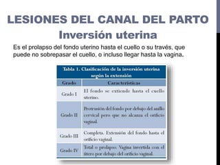 ACRETISMO
Consiste en una adherencia anormal de la placenta a la pared
uterina.
Inversión uterina
LESIONES DEL CANAL DEL P...