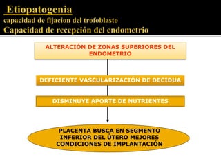 ALTERACIÓN DE ZONAS SUPERIORES DEL 
ENDOMETRIO 
DEFICIENTE VASCULARIZACIÓN DE DECIDUA 
DISMINUYE APORTE DE NUTRIENTES 
PLACENTA BUSCA EN SEGMENTO 
INFERIOR DEL ÚTERO MEJORES 
CONDICIONES DE IMPLANTACIÓN 
 