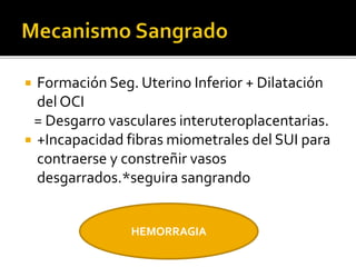  Formación Seg. Uterino Inferior + Dilatación 
del OCI 
= Desgarro vasculares interuteroplacentarias. 
 +Incapacidad fibras miometrales del SUI para 
contraerse y constreñir vasos 
desgarrados.*seguira sangrando 
HEMORRAGIA 
 