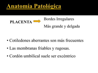 PLACENTA 
Bordes Irregulares 
Más grande y delgada 
• Cotiledones aberrantes son más frecuentes 
• Las membranas friables y rugosas. 
• Cordón umbilical suele ser excéntrico 
 