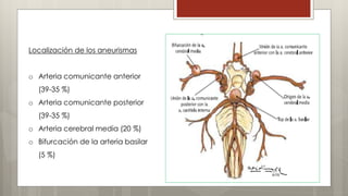Localización de los aneurismas 
o Arteria comunicante anterior 
(39-35 %) 
o Arteria comunicante posterior 
(39-35 %) 
o Arteria cerebral media (20 %) 
o Bifurcación de la arteria basilar 
(5 %) 
 