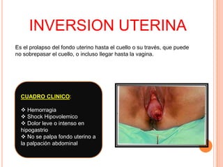 INVERSION UTERINA
Es el prolapso del fondo uterino hasta el cuello o su través, que puede
no sobrepasar el cuello, o incluso llegar hasta la vagina.

CUADRO CLINICO:
Factores predisponentes:
 Hemorragia
Inversión uterina previa.
 Placenta adherente.
Shock Hipovolemico
 Mala técnicaintenso en
Dolor leve o de atención
hipogastrio
del alumbramiento.
 Mala técnicafondo uterino a
No se palpa de extracción
la palpación abdominal
manual de placenta

 