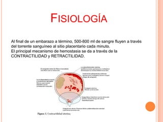 FISIOLOGÍA
Al final de un embarazo a término, 500-800 ml de sangre fluyen a través
del torrente sanguíneo al sitio placentario cada minuto.
El principal mecanismo de hemostasia se da a través de la
CONTRACTILIDAD y RETRACTILIDAD.

 