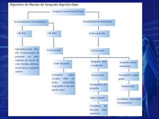 Enteroscopio de 200 centímetros (con balones deshinchados)