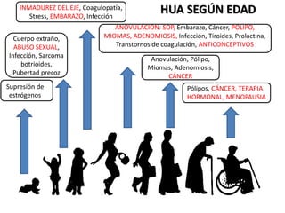 Supresión de
estrógenos
Cuerpo extraño,
ABUSO SEXUAL,
Infección, Sarcoma
botrioides,
Pubertad precoz
Pólipos, CÁNCER, TERAPIA
HORMONAL, MENOPAUSIA
Anovulación, Pólipo,
Miomas, Adenomiosis,
CÁNCER
ANOVULACIÓN: SOP, Embarazo, Cáncer, PÓLIPO,
MIOMAS, ADENOMIOSIS, Infección, Tiroides, Prolactina,
Transtornos de coagulación, ANTICONCEPTIVOS
INMADUREZ DEL EJE, Coagulopatía,
Stress, EMBARAZO, Infección
HUA SEGÚN EDAD
 