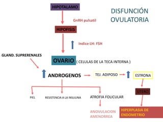 HIPOTALAMO
HIPOFISIS
OVARIO
GnRH pulsatil
Indice LH: FSH
( CELULAS DE LA TECA INTERNA )
ANDROGENOS
GLAND. SUPRERENALES
PIEL RESISTENCIA A LA INSULINA ATROFIA FOLICULAR
TEJ. ADIPOSO ESTRONA
UTERO
HIPERPLASIA DE
ENDOMETRIO
ANOVULACION
AMENORREA
DISFUNCIÓN
OVULATORIA
 