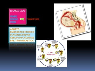 Hemorragia uterina anormal curso enarm cmn siglo xxi 36246001