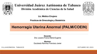 Lic. Médico Cirujano
Practicas de Ginecología y Obstetricia
Docente:
Dra. Lozano Franco María Eugenia
Alumno:
Escobedo Ramírez Francisco Javier
VILLAHERMOSA, TABASCO OCTUBRE DE 2023
Universidad Juárez Autónoma de Tabasco
División Académica de Ciencias de la Salud
Hemorragia Uterina Anormal (PALM/COEIN)
 