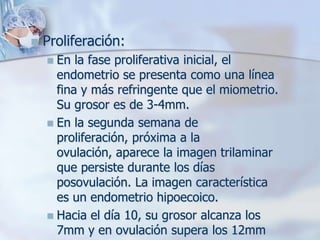    Proliferación:
     En la fase proliferativa inicial, el
      endometrio se presenta como una línea
      fina y más refringente que el miometrio.
      Su grosor es de 3-4mm.
     En la segunda semana de
      proliferación, próxima a la
      ovulación, aparece la imagen trilaminar
      que persiste durante los días
      posovulación. La imagen característica
      es un endometrio hipoecoico.
     Hacia el día 10, su grosor alcanza los
      7mm y en ovulación supera los 12mm
 