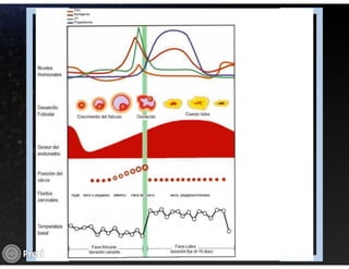 Hemorragia uterina disfuncional