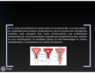 Hemorragia uterina disfuncional