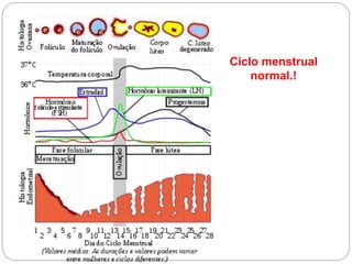 Ciclo menstrual
normal.!
 
