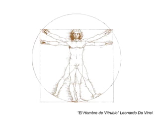 “ El Hombre de Vitrubio” Leonardo Da Vinci 