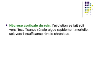   Nécrose corticale du rein: l’évolution se fait soit
    vers l’insuffisance rénale aigue rapidement mortelle,
    soit vers l’insuffisance rénale chronique
 