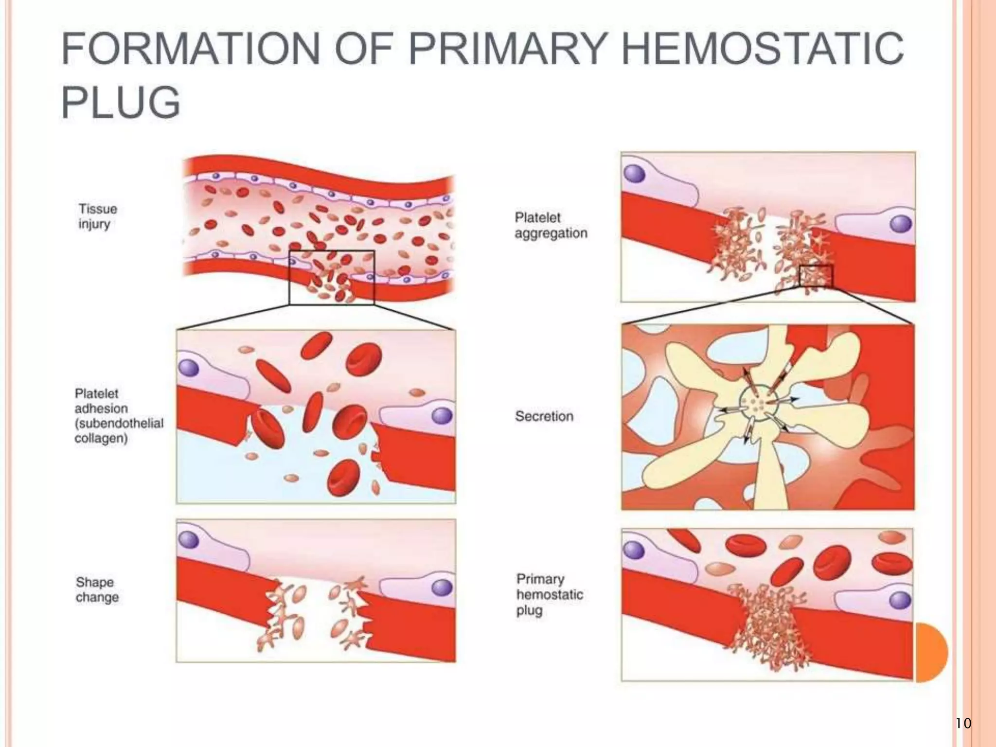 Hemorrhage And Its Management Pptx Hemorrhage And Its Management Pptx