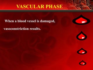 VASCULAR PHASE
When a blood vessel is damaged,
vasoconstriction results.
 
