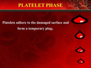 PLATELET PHASE
Platelets adhere to the damaged surface and
form a temporary plug.
 