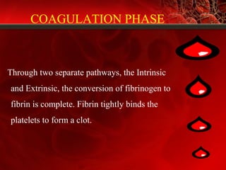 Through two separate pathways, the Intrinsic
and Extrinsic, the conversion of fibrinogen to
fibrin is complete. Fibrin tightly binds the
platelets to form a clot.
COAGULATION PHASE
 