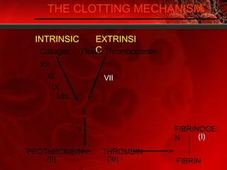 THE CLOTTING MECHANISM
INTRINSIC EXTRINSI
C
PROTHROMBIN THROMBIN
FIBRINOGE
N
FIBRIN(II) (III)
(I)
V
X
Tissue ThromboplastinCollagen
VII
XII
XI
IX
VIII
 