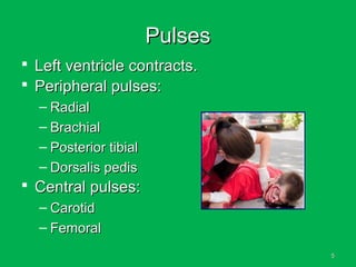 55
PulsesPulses
 Left ventricle contracts.Left ventricle contracts.
 Peripheral pulses:Peripheral pulses:
– RadialRadial
– BrachialBrachial
– Posterior tibialPosterior tibial
– Dorsalis pedisDorsalis pedis
 Central pulses:Central pulses:
– CarotidCarotid
– FemoralFemoral
 
