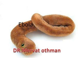 Ebola

 