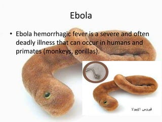 Ebola
• Ebola hemorrhagic fever is a severe and often
deadly illness that can occur in humans and
primates (monkeys, gorillas).

 