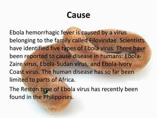 Cause
Ebola hemorrhagic fever is caused by a virus
belonging to the family called Filoviridae. Scientists
have identified five types of Ebola virus. Three have
been reported to cause disease in humans: EbolaZaire virus, Ebola-Sudan virus, and Ebola-Ivory
Coast virus. The human disease has so far been
limited to parts of Africa.
The Reston type of Ebola virus has recently been
found in the Philippines.

 